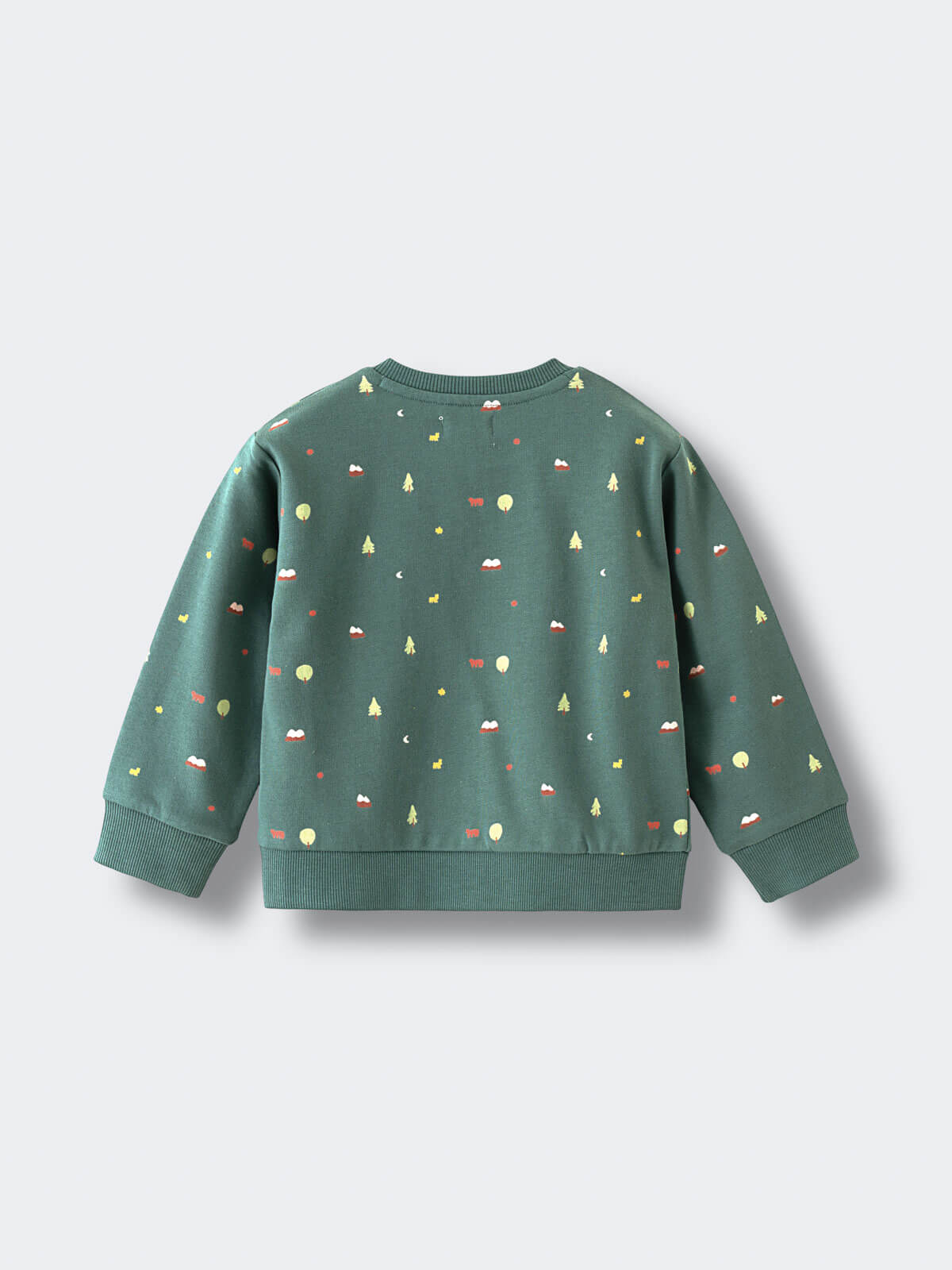 Baby printed green sweatshirt with mountains printed on it Baby Printed Sweatshirt - Mountain View Balsam Baby boy