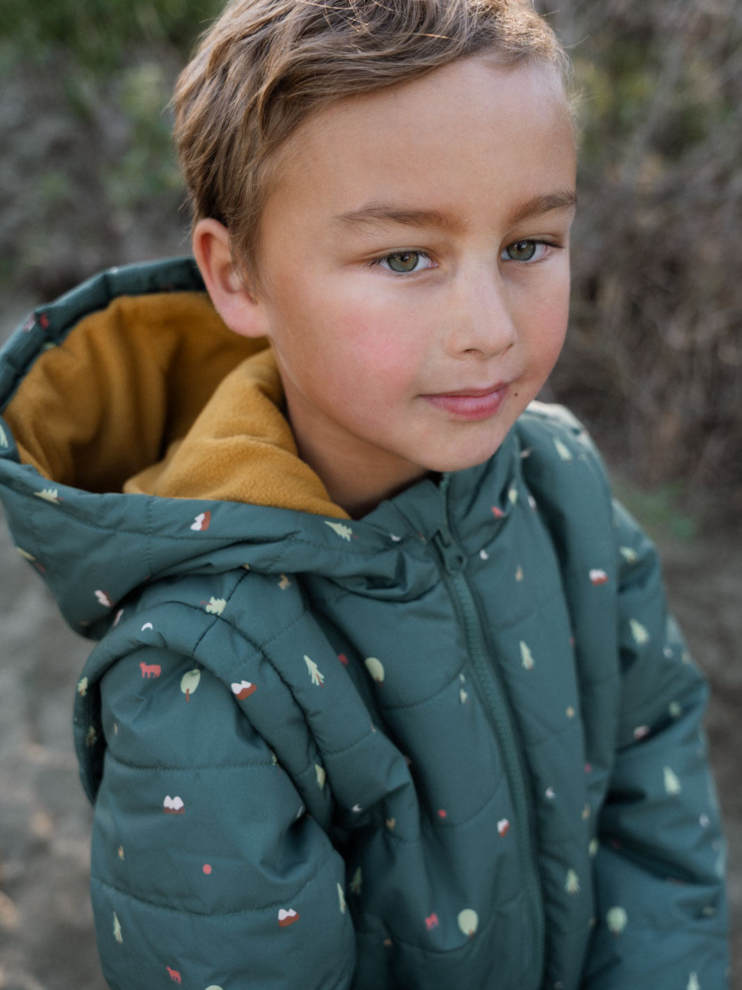 Printed Puffer Vest Jacket - Mountain View Balsam
