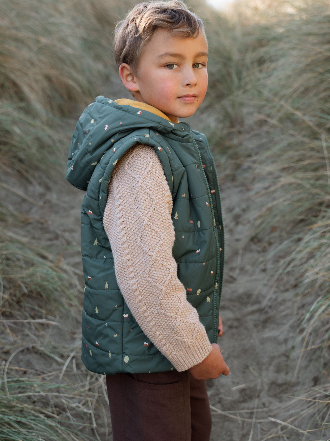 Printed Puffer Vest Jacket - Mountain View Balsam