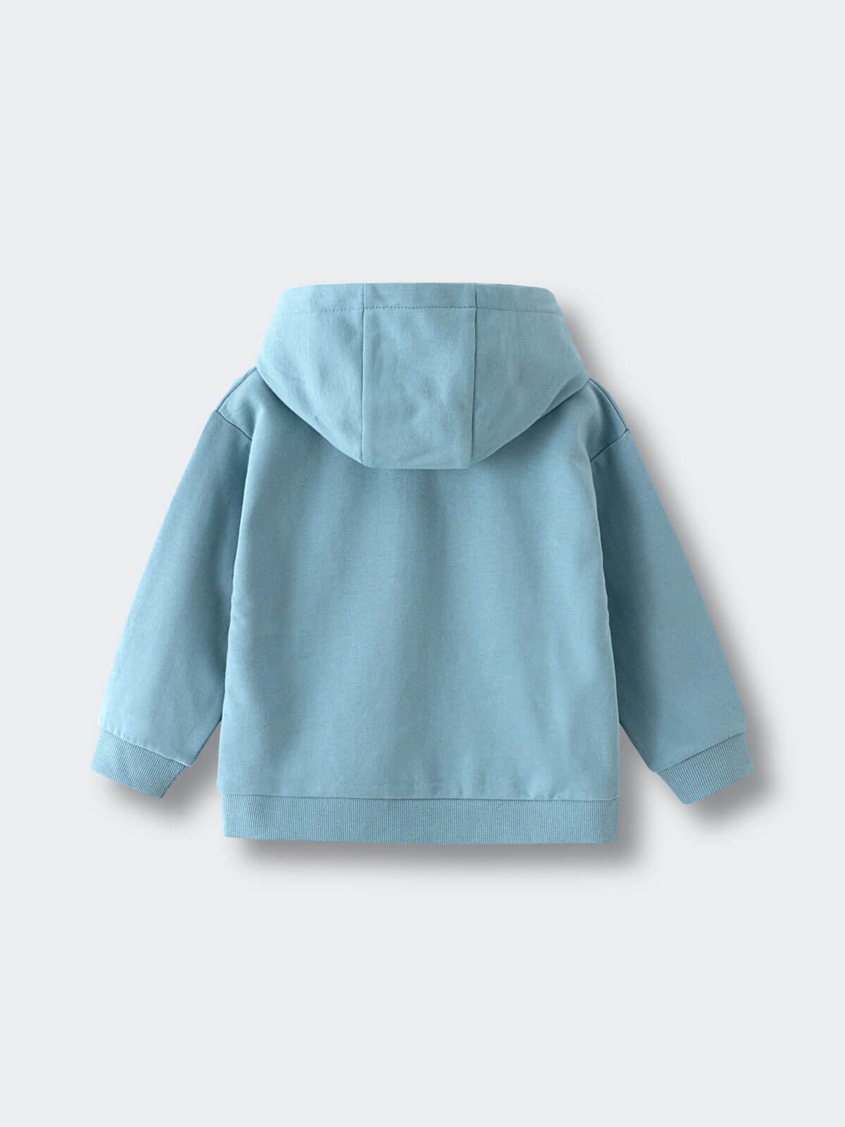 Light blue hooded sweatshirt with ribbed cuffs and hem laid flat Feature Print Hoodie - Stay Wild Boys