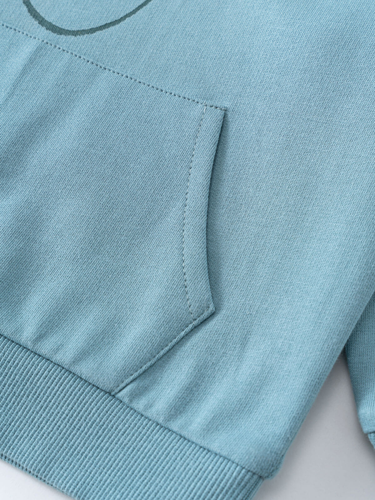 Close-up of a light blue hoodie pocket and ribbed hem detail Feature Print Hoodie - Stay Wild Boys