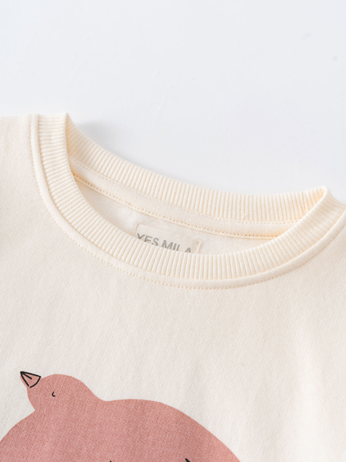 Close-up of cream sweatshirt neckline with pink bird graphic printed below Feature Print Sweatshirt - Bird And Blossom Girls
