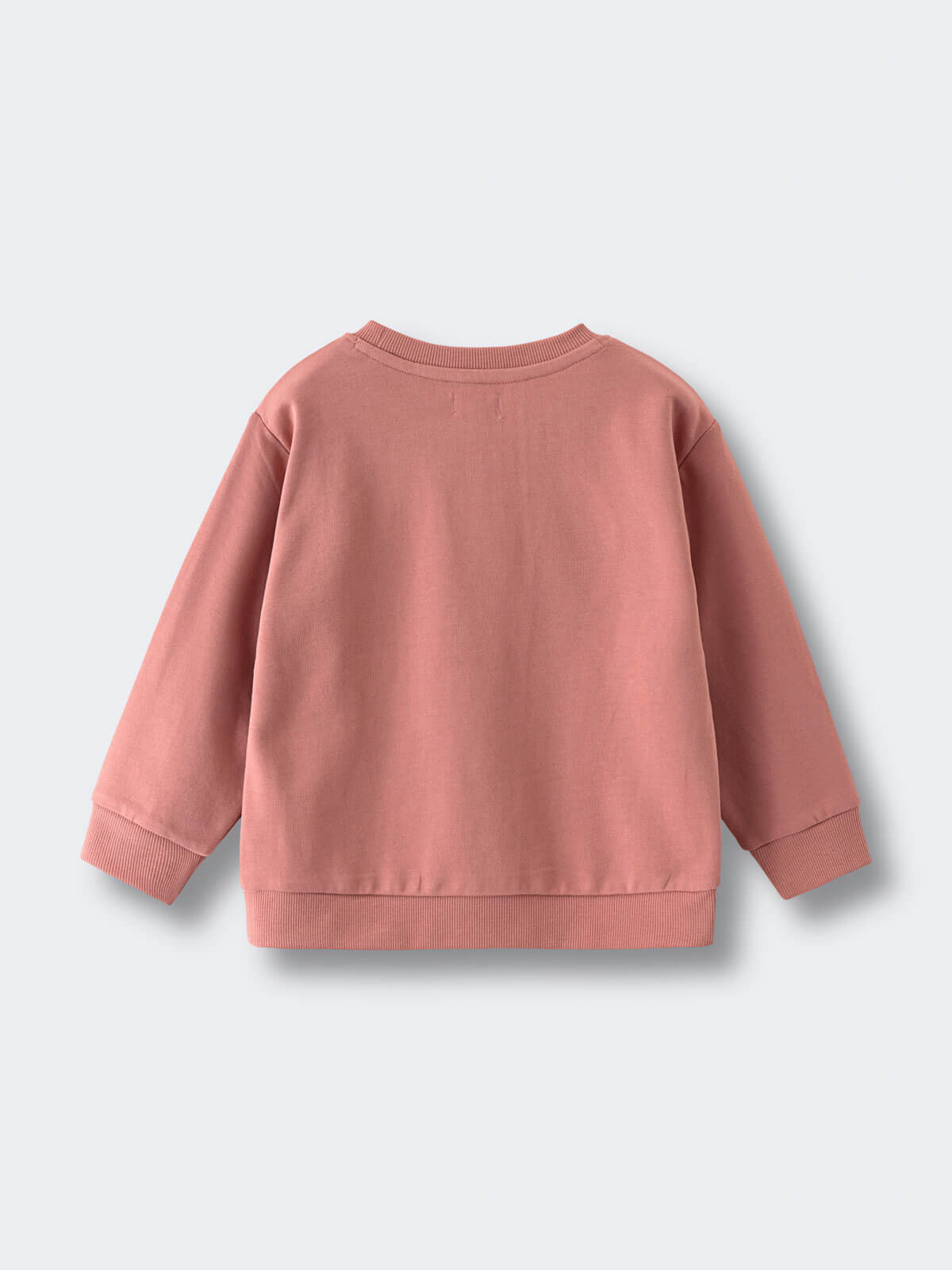 Back view of a dusty pink sweatshirt with ribbed cuffs and hem Feature Print Sweatshirt - Forest Gathering Girls