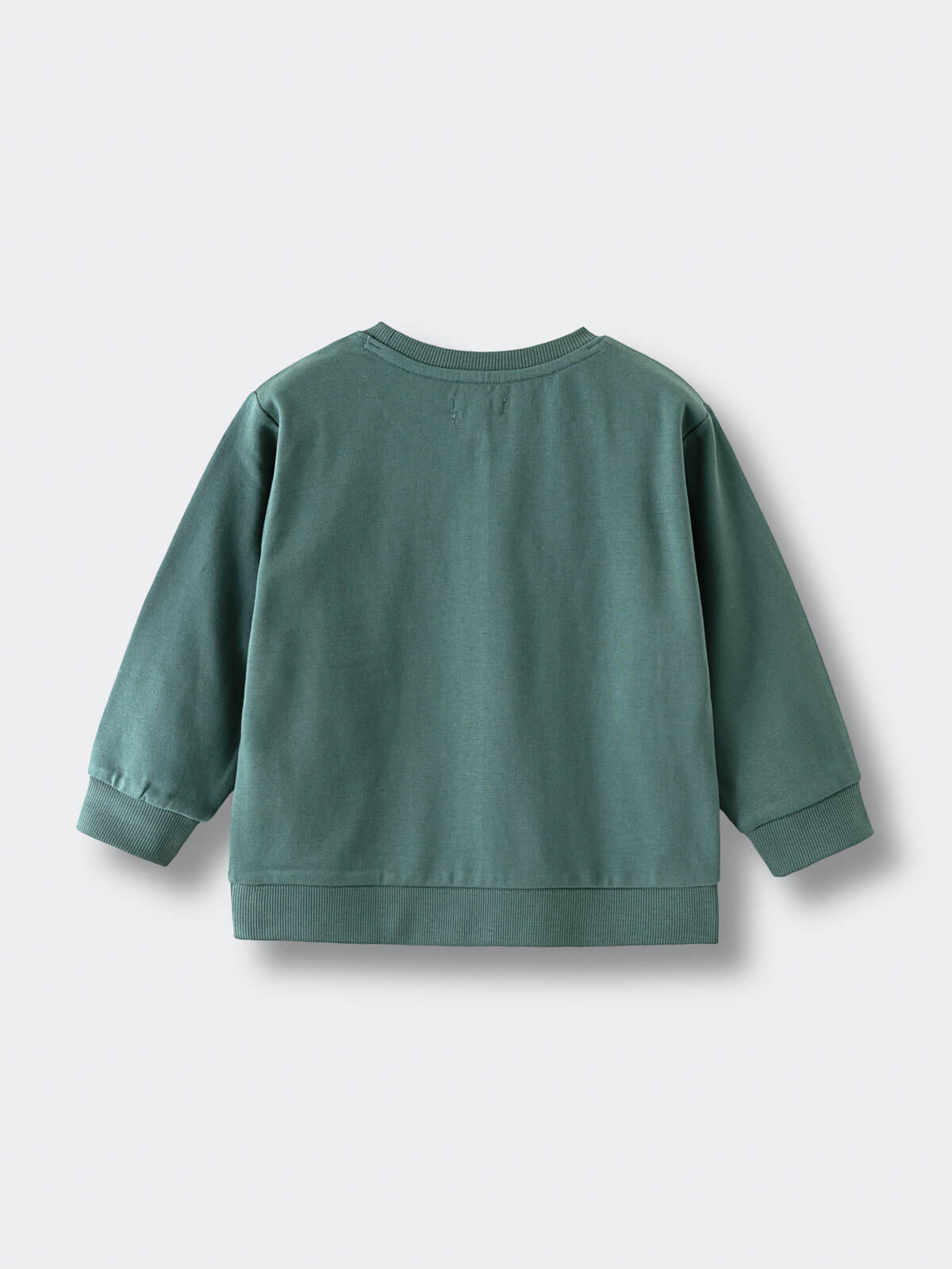 Back view of a sage green sweatshirt with ribbed cuffs and hem Feature Print Sweatshirt - Wild Baby boy
