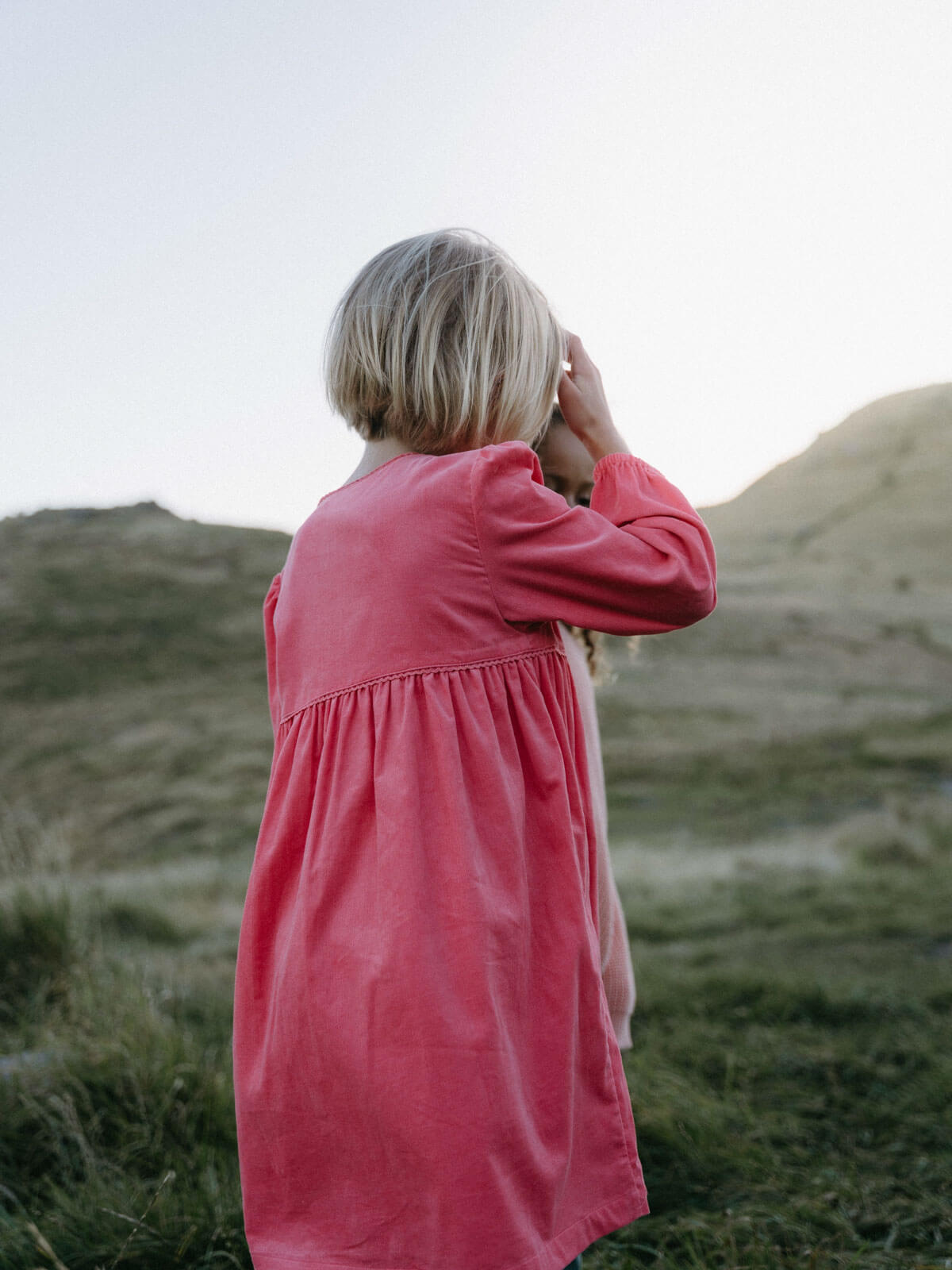 Girl wearing a pink dress standing in a grassy field with mountains in the background