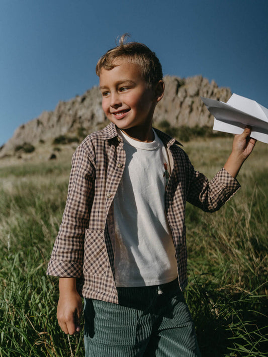 Child holding a paper airplane in a grassy field with mountains in the background