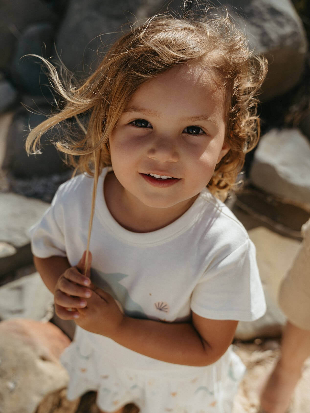 Hazel Short Sleeve Tee Shirt - Dolphin