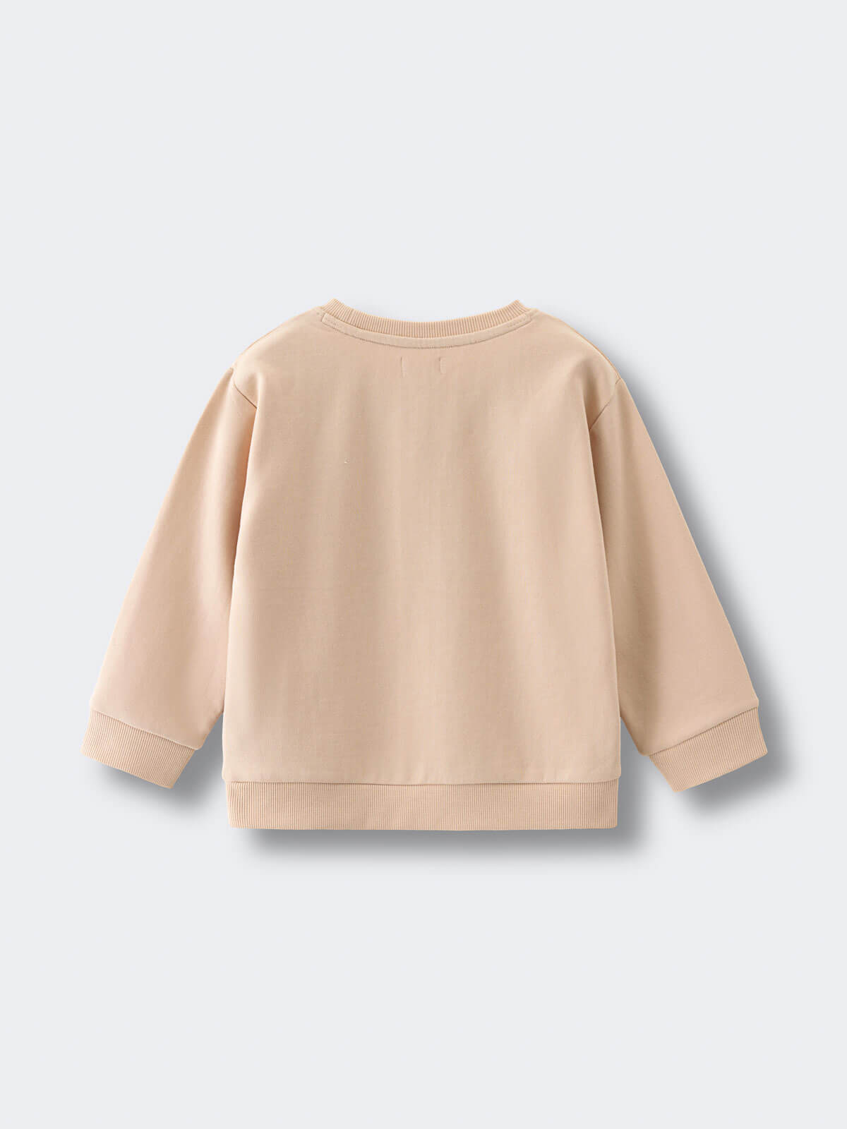 Back view of a beige sweatshirt with ribbed cuffs and hem Feature Print Sweatshirt - Hiking Bear Baby boy