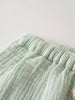 Noah Shorts - Light Green Stripe