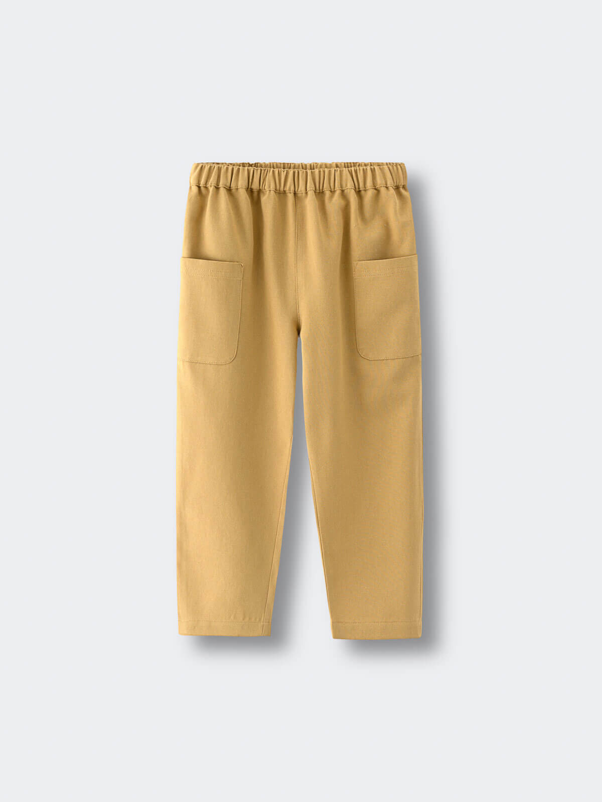 Beige pants on a light gray background Twill Pants - Golden Pear Boys